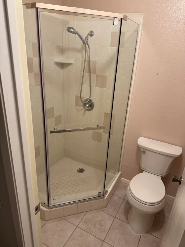 Shower Door Replacement and Toilet Installation in Thousand Oaks